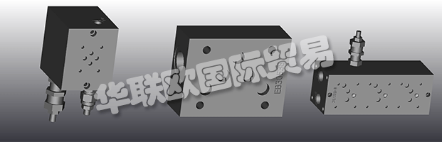 EUROFLUID Hydraulic是一家大型公司，專門生產(chǎn)液壓設(shè)備的歧管。