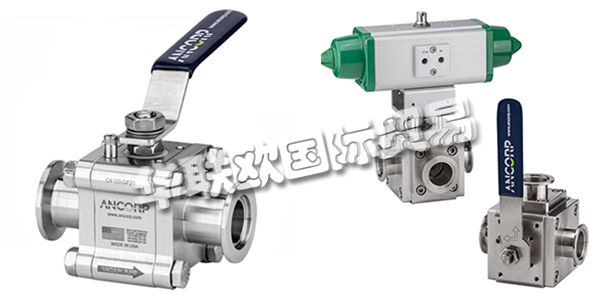 美國ANCORP公司主要供應(yīng)：美國ANCORP閥門,ANCORP過濾器，真空閥，疏水閥，真空球閥，二通球閥，三通球閥，高電導(dǎo)球閥，顆粒分離器，螺栓，螺母，固定環(huán)，夾具等產(chǎn)品。